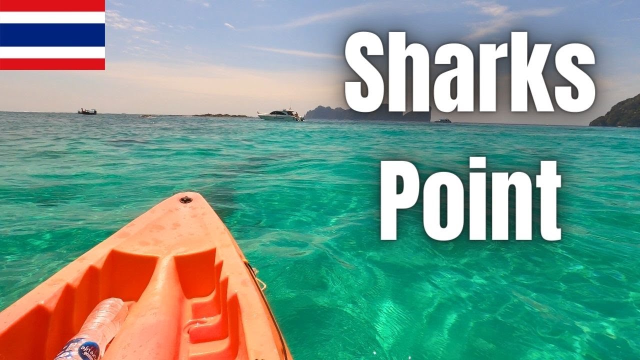 Embark on virtual experience of Kayaking and Snorkeling at Shark Point.