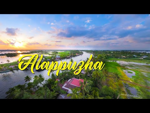 Journey Through Alappuzha Backwaters