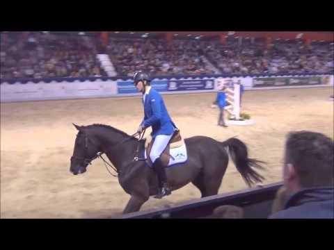 DOMINATOR Z: stallion by Diamant de Semilly x Cassini I, www.equine-evolution.com