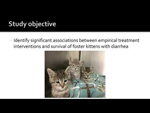 How To Turn Orphan Kittens into Senior Cats - webcast