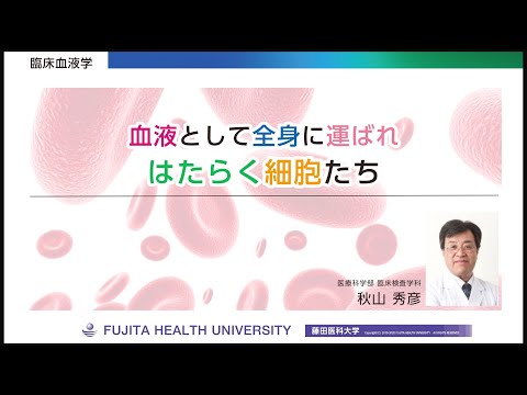 オンライン授業「血液として全身に運ばれはたらく細胞たち」