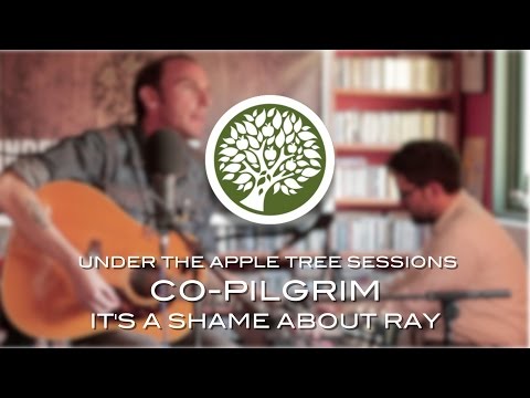 Co-Pilgrim - 'It's A Shame About Ray' (Lemonheads cover) | UNDER THE APPLE TREE