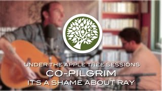 Co-Pilgrim - 'It's A Shame About Ray' (Lemonheads cover) | UNDER THE APPLE TREE