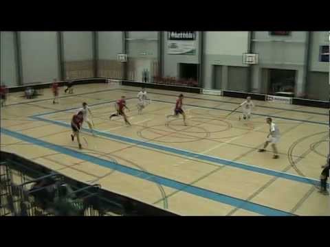 Wings - Nokian KRP II 18.11.12