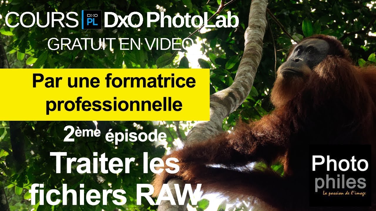 N°2 Cours DxO PhotoLab. Traiter les fichiers RAW
