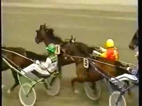Sweden Cup 2001 -Intact Hornline