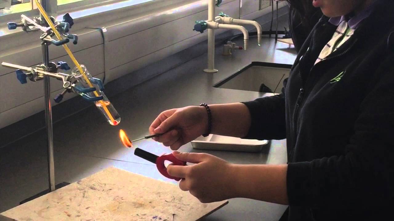 Energy Released from Burning Peanut