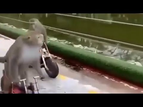 Weird Experiences and McNasty's Brother