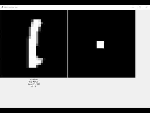NARS Vision Test - Bit Classification