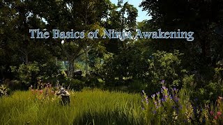 Ninja Awakening Basics in Black Desert Online