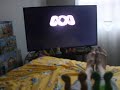 Opening To The Wiggles Live Hot Potatoes 2005 DVD