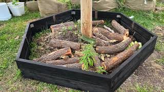 Torched Garden Bed project
