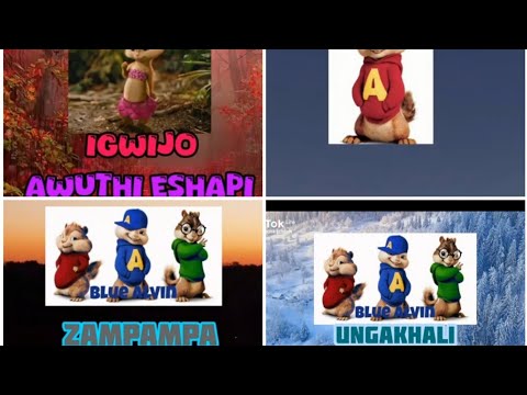 Chipmunks Gwijo mix❤️❤️‍🔥
