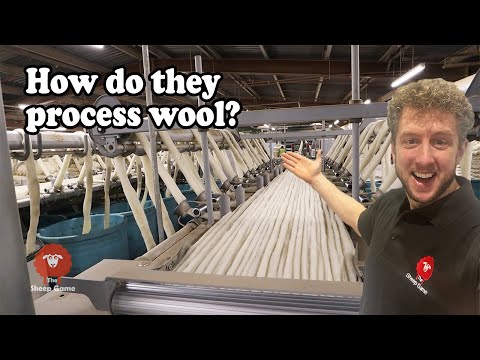 WOOL  |  SCOURING AND CARDING
