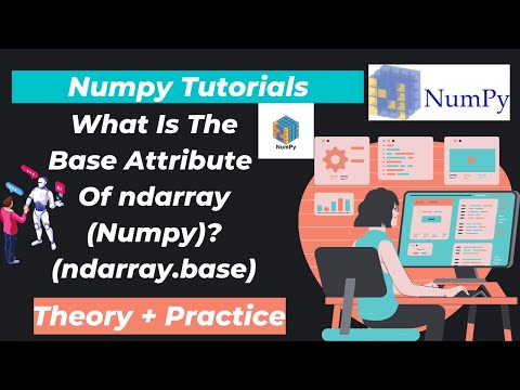 16. What is the base attribute of ndarray(Numpy)? (ndarray.base)
