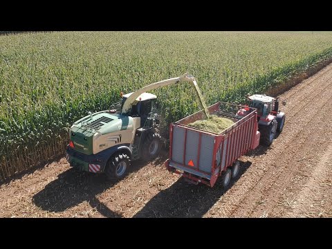 Corn Silage Harvest | Silo Filling Challenges 
