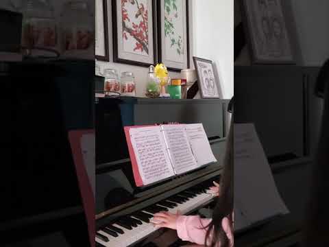 Chiisana Te no Hira Piano Performance Video