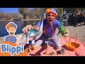 Blippi Visits A Dinosaur Exhibition Learn About Dinosaurs Educational Videos For Toddlers