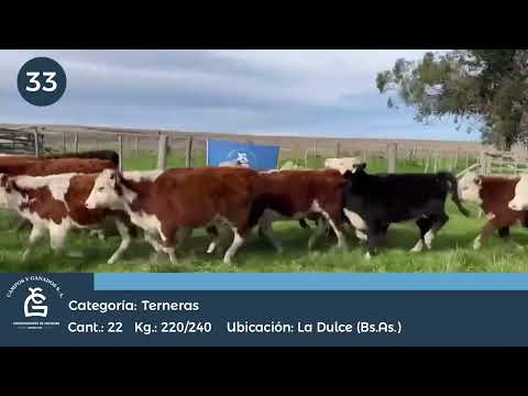 Lote M Y H- La Dulce Bs As