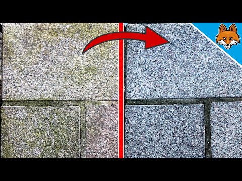 Grünbelag in WENIGEN MINUTEN entfernen mit einem Hausmittel 💥 (Extrem einfach) 🤯