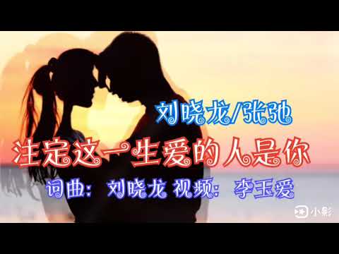 Người được định sẵn để yêu trong đời này là em (Zhù dìng zhè yī shēng ài dí rén shì nǐ - 注定这一生爱的人是你) - Lưu Hiểu Long