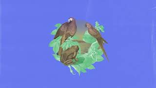 Selva Music Video