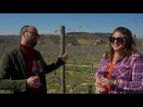 Vine to Wine - A walk in the vineyards in Montepulciano and lesson from Francesco Maramai.