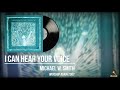Michael W. Smith I Can Hear Your Voice