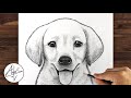 How To Draw a DOG (GOLDEN LAB PUPPY) | Drawing Tutorial