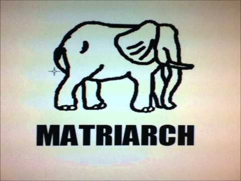 Jewelz vs. Vegas Baby! - What's The Big Toxic Rush (Matriarch Mash-up)