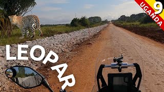 I saw the HUNTING SCENE in the national park - Motorcycles BANNED (Part 9)