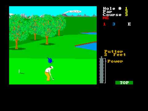 Leader Board Golf Simulation picture