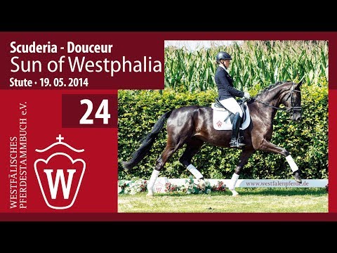 24 Sun of Westphalia Stute v.  Scuderia - Douceur