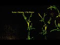 Nyman : Gattaca  -  I. The Morrow