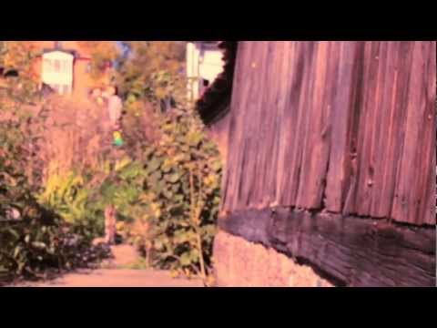 ROOTS BY NATURE - feat Anayah Roots Strength of a Woman