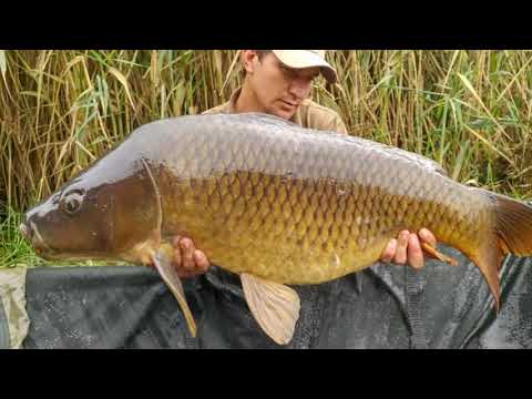 Short Vlog: Wynand's March 2018 African Gold Syndicate Session