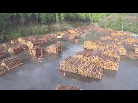 地域環境科学部 森林総合科学科