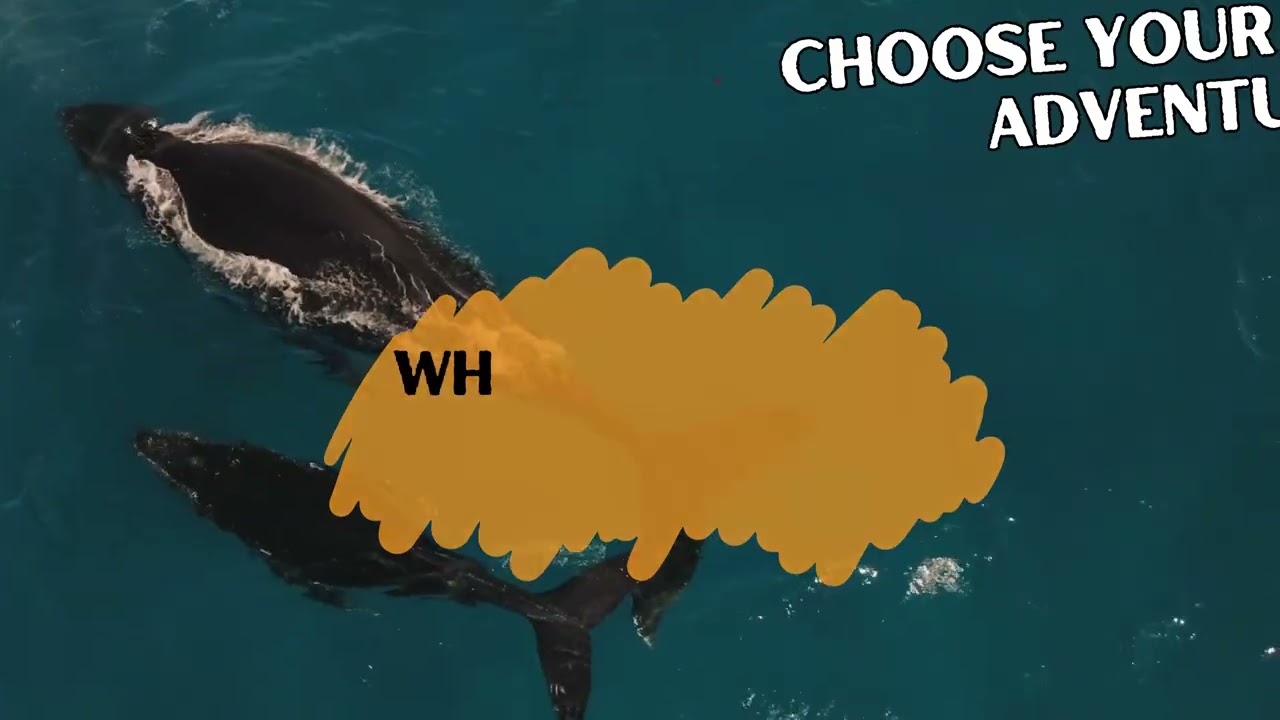 Travel Agency Marketing Video