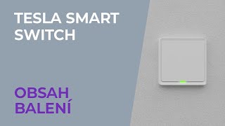 TESLA Smart Switch TSL-SWI-WIFI1