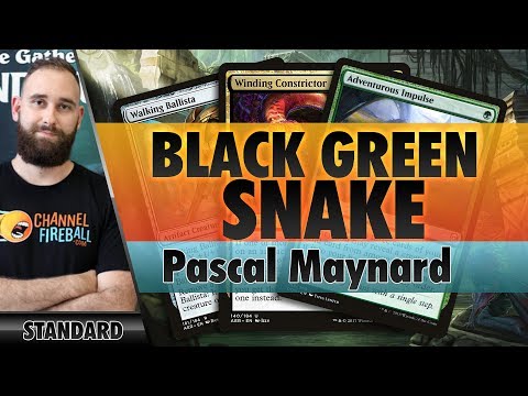 Black-Green Snakes - Standard | Channel Pascal