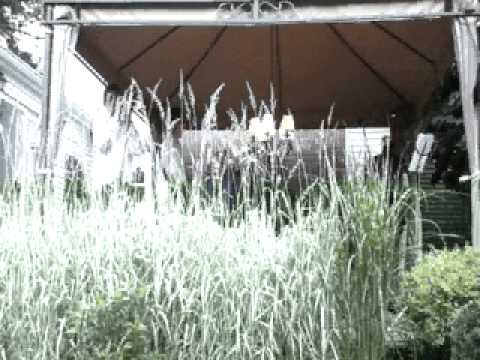 Reggie Childs - Leave Everything on the Field