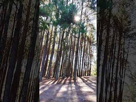 camping ipora tacuarembo uruguay