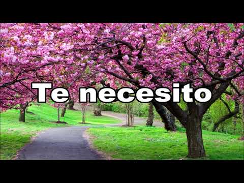 Mi pasión - Erick Bolaños / Con letra