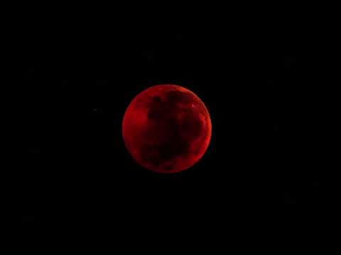 Boosie Badazz x LuckGangKibias - Cameras ft. Money Mazi (Lyrics Video)