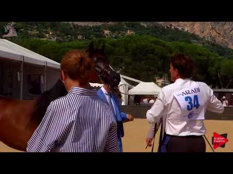 N.34 NABILA RC - Menton 2018 - 2 Years Old Fillies (Class 2A)