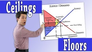 Price Ceilings & Price Floors: Microeconomics