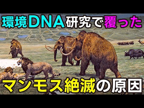 最古のDNAがマンモスの家系図に光を当てる