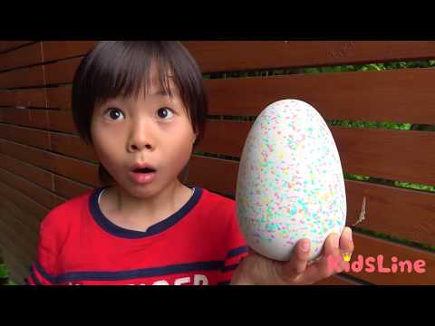 不思議なタマゴを開けたら卵がタマゴに!!? 卵が食べられない??