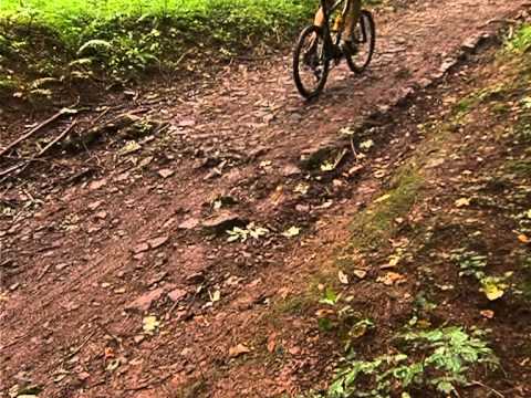 Mountainbike Harz Challenge Neustadt Harz