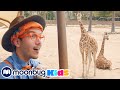 Blippi Explores A Safari Park Blippi Jurassic TV Moonbug Kids